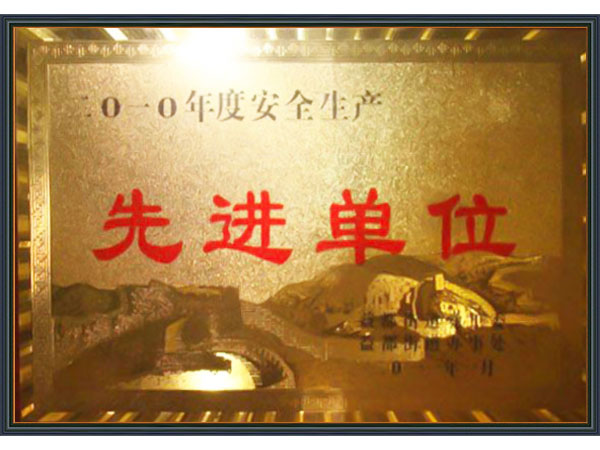 2010年度安 全生产先 进单位